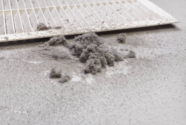 Best Emergency Air Duct Cleaning  in Tanglewilde, WA