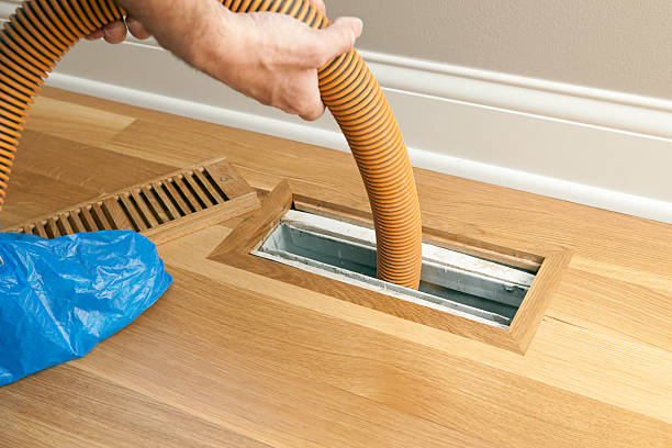 Best Air Vent Cleaning Services  in Tanglewilde, WA